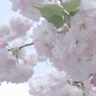 兽设草原场景绘制兽圈群